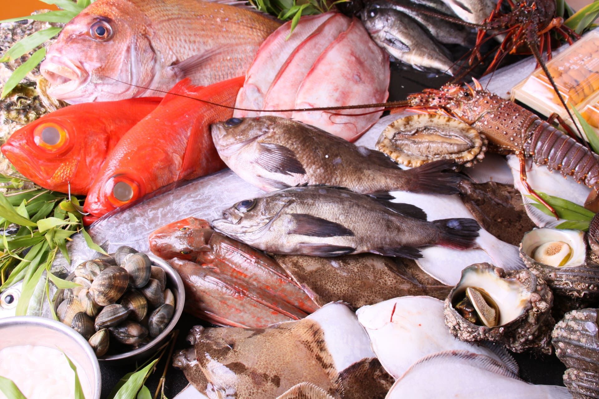 魚